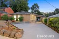 Property photo of 44 Daffodil Road Boronia VIC 3155
