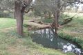 Property photo of 608 Kumbia Road Ellesmere QLD 4610