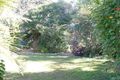 Property photo of 4 Pituri Place Ormeau QLD 4208