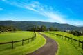 Property photo of 417 Wallaby Hill Road Jamberoo NSW 2533