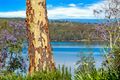 Property photo of 5 Killara Close Coal Point NSW 2283