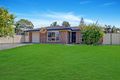 Property photo of 22 Constellation Drive Loganholme QLD 4129