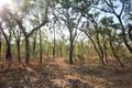 Property photo of 1485 Leonino Road Darwin River NT 0841