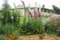 Property photo of 14 Rees Road Jumbunna VIC 3951