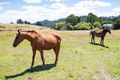 Property photo of 2034 Frankford Road Frankford TAS 7275