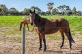 Property photo of 32 Trainers Way Strathalbyn SA 5255