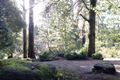 Property photo of 537 Mt Dandenong Tourist Road Olinda VIC 3788