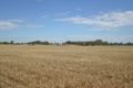 Property photo of 59 Snelsons Lane Gulgong NSW 2852
