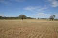 Property photo of 59 Snelsons Lane Gulgong NSW 2852