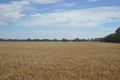 Property photo of 59 Snelsons Lane Gulgong NSW 2852