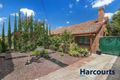 Property photo of 57 Murray Road Coburg VIC 3058