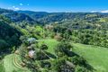 Property photo of 35 Town Road Terania Creek NSW 2480