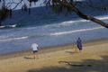Property photo of 5 Parumba Street Wurtulla QLD 4575