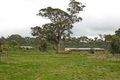 Property photo of 2 Flora Court Junortoun VIC 3551