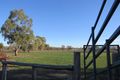 Property photo of 12921 Gwydir Highway Warialda NSW 2402
