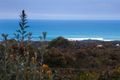 Property photo of 56 Harvey Street Anglesea VIC 3230