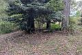 Property photo of 105 Belgrave-Gembrook Road Selby VIC 3159