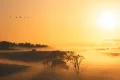 Property photo of E299A Princes Highway Yatte Yattah NSW 2539