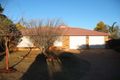 Property photo of 2 Wirraway Drive Wilsonton QLD 4350