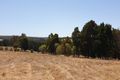 Property photo of 254 Henderson Road Kangaroo Gully WA 6255