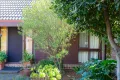 Property photo of 1 Wybalena Grove Cook ACT 2614