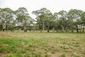 Property photo of LOT 9 Springhead Road Mount Torrens SA 5244