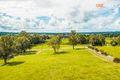 Property photo of 754 Tinonee Road Mondrook NSW 2430