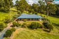 Property photo of 754 Tinonee Road Mondrook NSW 2430