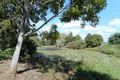 Property photo of 14 Rubyanna Road Rubyanna QLD 4670