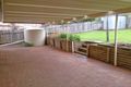 Property photo of 13 Everitt Place Watanobbi NSW 2259