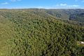 Property photo of 172 Bumble Hill Road Yarramalong NSW 2259