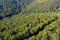 Property photo of 172 Bumble Hill Road Yarramalong NSW 2259