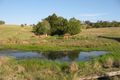 Property photo of 123 Thrushs Road Dulong QLD 4560
