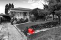 Property photo of 42 Staples Street Kingsgrove NSW 2208