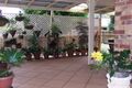 Property photo of 36 Traline Road Glass House Mountains QLD 4518