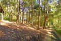 Property photo of 10A Holmes Street Turramurra NSW 2074