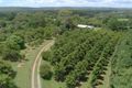 Property photo of 172 Kiel Mountain Road Woombye QLD 4559