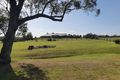 Property photo of 14 Jillaroo Way Muswellbrook NSW 2333