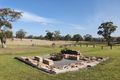 Property photo of 14 Jillaroo Way Muswellbrook NSW 2333