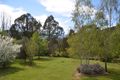 Property photo of 12 Bluegum Court Bright VIC 3741