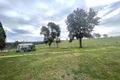 Property photo of 31 Gresham Street Tarcutta NSW 2652