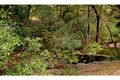 Property photo of 404 Ruffles Road Willow Vale QLD 4209