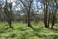 Property photo of 259 Wonga Roo Road Bungaba NSW 2852
