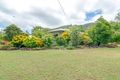 Property photo of 52 Marlin Drive Wonga Beach QLD 4873