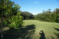 Property photo of 1 Forest Close Kuranda QLD 4881
