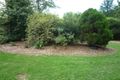 Property photo of 35 Summer Street Orange NSW 2800