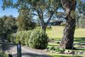 Property photo of 28 Joseph Road Blakiston SA 5250