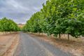 Property photo of 404 Clear Creek Valley Road Mirboo VIC 3871