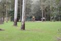 Property photo of 34-36 Trentbridge Court Mount Nathan QLD 4211