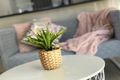 Property photo of 5 Barradeen Circuit Pacific Pines QLD 4211